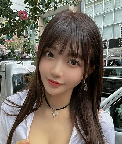 雾港回声 热播电视剧全集在线观看